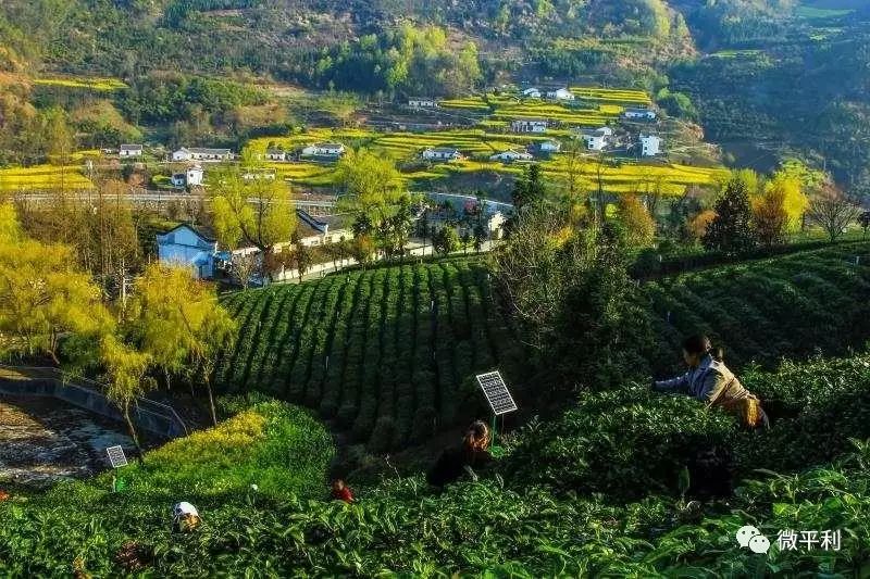 建材行业新趋势:安康建材业的绿色崛起